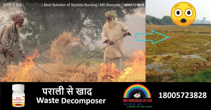 Waste Decomposer: (कीमत मात्र 20 रूपय) A Solution to Stubble Burning | MD BIOCOALS